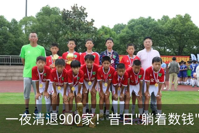 一夜清退900家！昔日"躺着数钱"的生意，如今被电商踩在地上摩擦