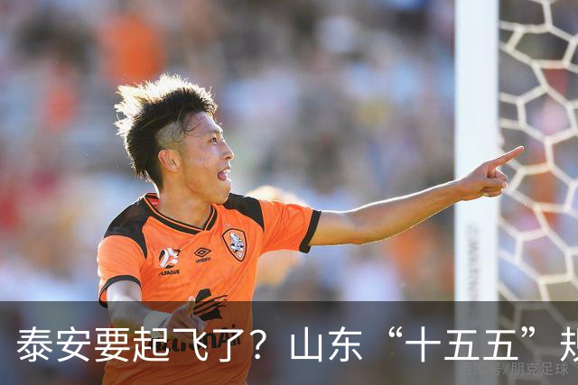 泰安要起飞了？山东“十五五”规划直接点名泰山！
