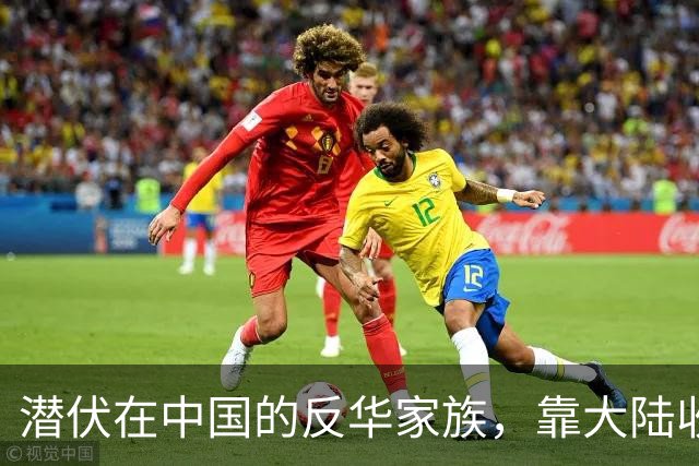 潜伏在中国的反华家族，靠大陆收入上亿，现国家出手下场大快人心
